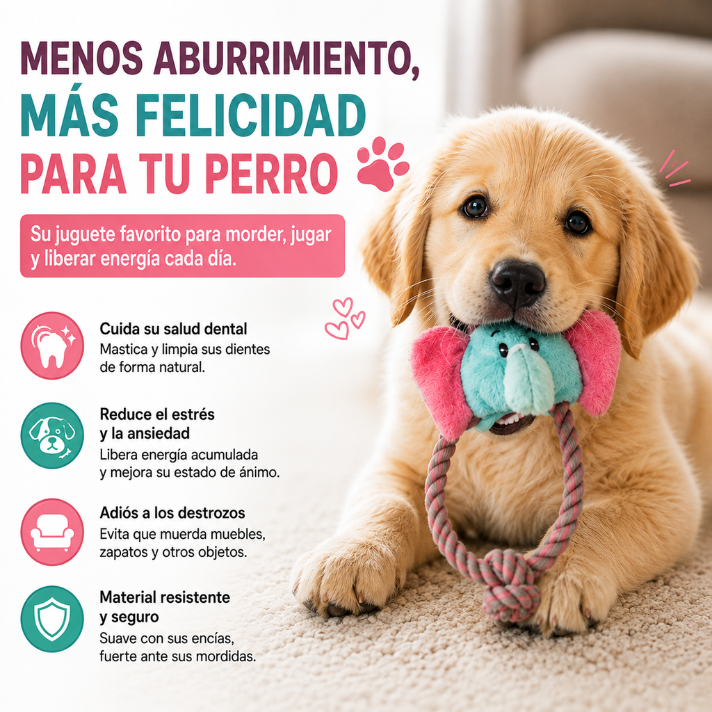 Juguete Dental de Cuerda para Perros