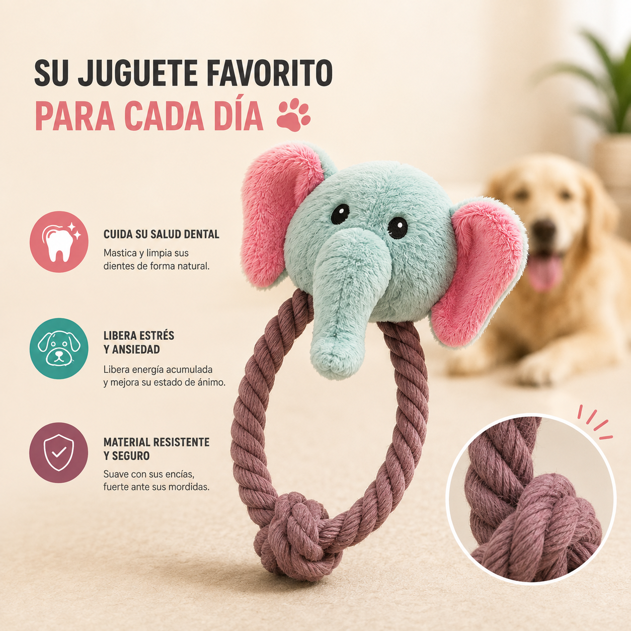 Juguete Dental de Cuerda para Perros
