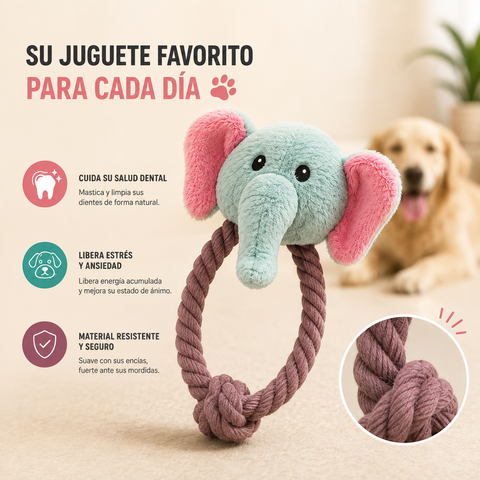 Juguete Dental de Cuerda para Perros