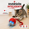 Bola Interactiva Inteligente para Gatos